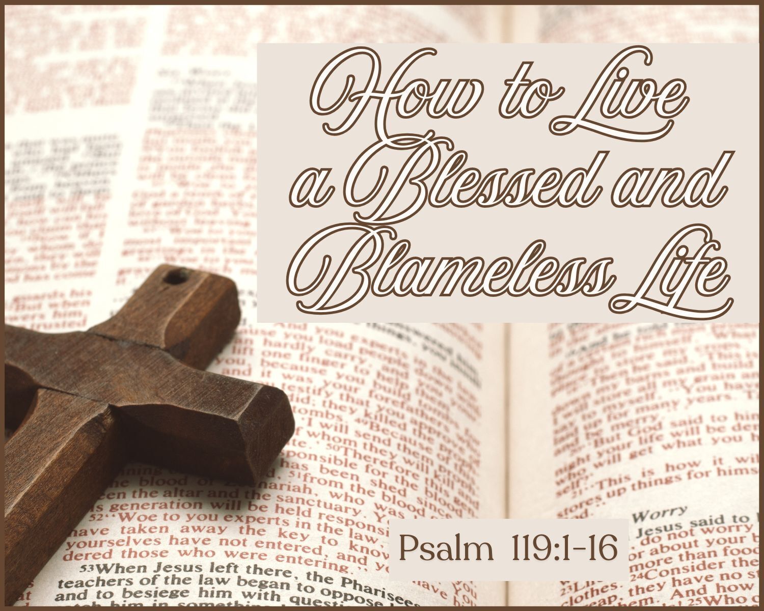 Psalm 1191-16