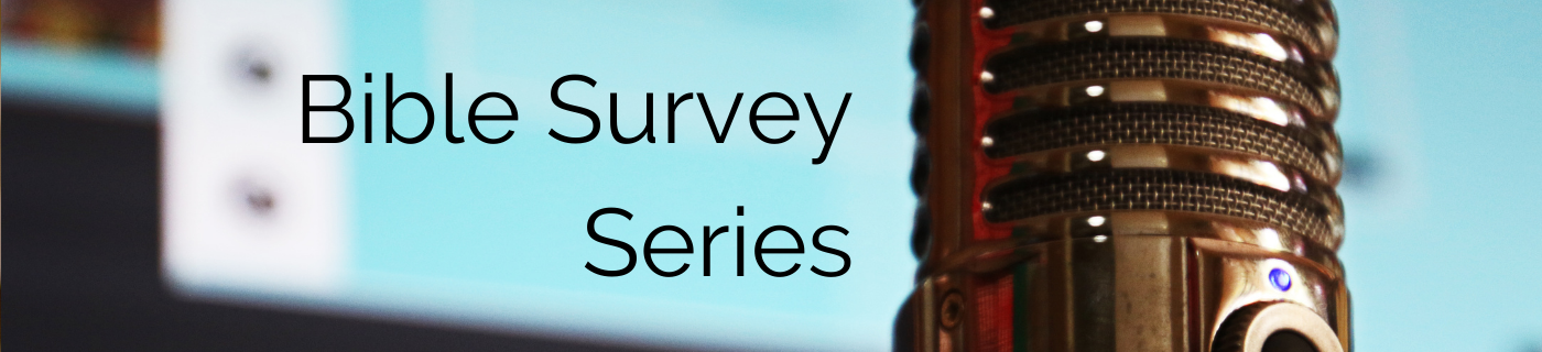 Bible Survey Series