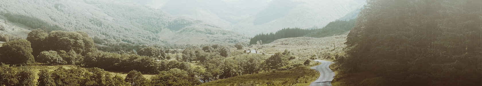 Test Banner for Page